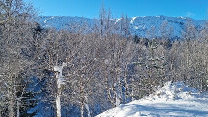 Winter landscape with snow-covered trees and mountains in bright sunlight