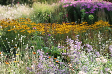 Fototapeta premium Colourful flower beds in a garden in summer