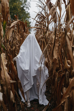 A creepy skeleton in a corn field dressed as a ghost for a halloween party in October.