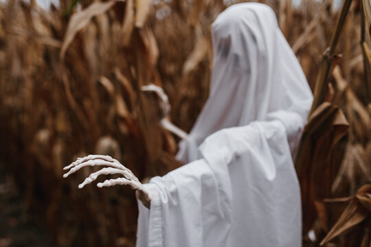 A creepy skeleton in a corn field dressed as a ghost for a halloween party in October.