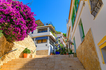 Alicante old town Barrio de Santa Cruz neighborhood, narrow street, typical white houses, traditional buildings with flowers and plants in Alicante city historical centre, Valencian Community, Spain