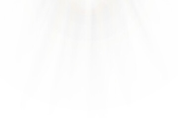 Soft White Vertical Light Rays Subtle Glow Transparent Background