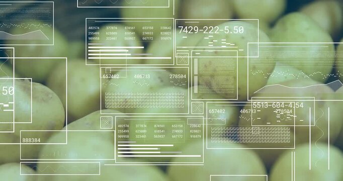 Single rectangle appearing, HUD overlays sliding, stacking over potatoes, showing inventory metrics