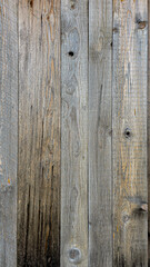 Fototapeta premium A background of aged wooden planks – the texture of natural wood