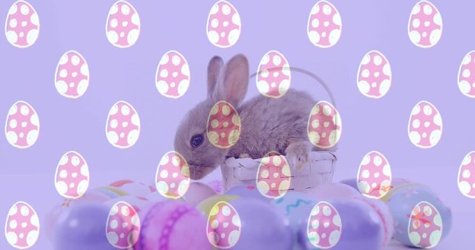 small brown rabbit spotting eggs in basket turning flicking ears sniffing investigating