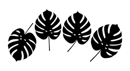 Four monstera leaves arranged horizontally in a simple black and white design © arfanah02