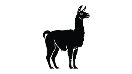 Fototapeta premium A stylized black silhouette of a standing llama with long curved horns and a thick neck. Vector