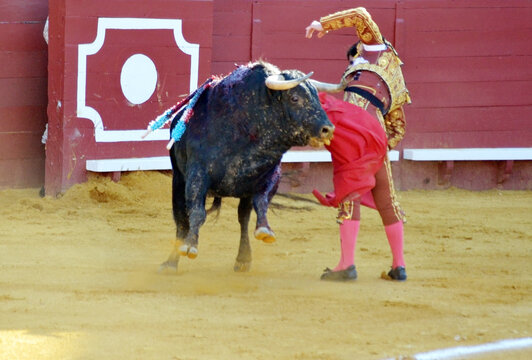 Traditional spanish bullfighting scene in arena with matador and bull. Matador with muleta and bull in the bullring. Tauromaquia. Spanish traditions