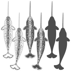 Set of black and white illustrations animal narwhal. Isolated vector objects on white background. © rizik_pic