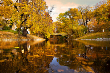 Pond with a bridge in autumn park