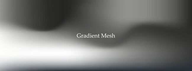 Obraz premium Abstract monochrome gradient mesh background with soft fluid waves, smooth blur transitions and modern minimal luxury aesthetic design template art bg