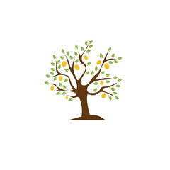 Lemon tree with yellow fruits and green leaves for organic farm logo vector