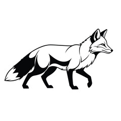 Obraz premium Graceful black and white fox walking through an open field Vector