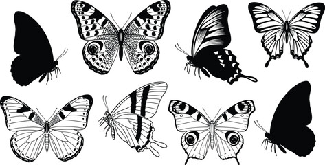 Butterfly illustration collection, diverse wing patterns, black silhouettes, detailed line art, entomology study design, decorative artwork, symmetrical insect species variety © Fenshi