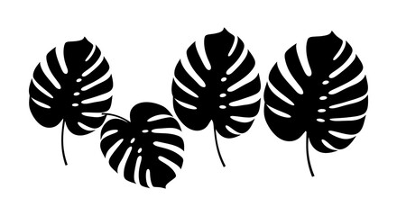 Black and white illustration of monstera leaves arranged in a botanical design © LensLegend Studio