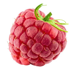 Vibrant Red Raspberry with Green Stem on a Deep Hued Setting