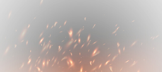 Fire, smoldering embers, and sparks from a campfire scattering in the wind. Fire flames with flying sparks, vector png.   © Iryna