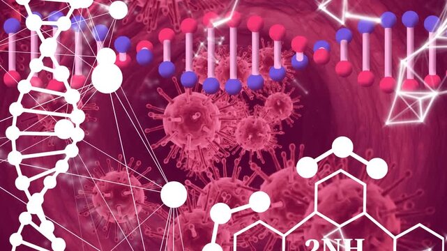 Animation of chemical formulas and dna over dna, virus cells on pink background