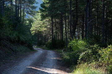 Fototapeta premium Camino de Abella de la Conca a Bóixols, Pallars Llussà.