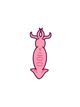 pressure popping animation of a fresh japanese seafood squid image
