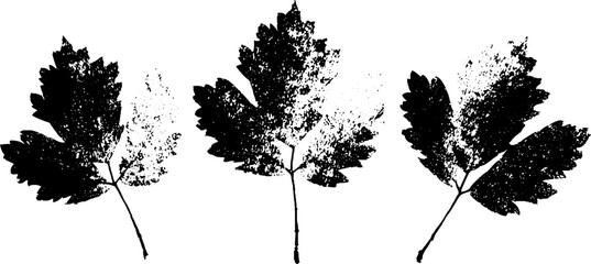 Fototapeta premium Autumn park falling leaves in high contrast stencil style for seasonal decor or design