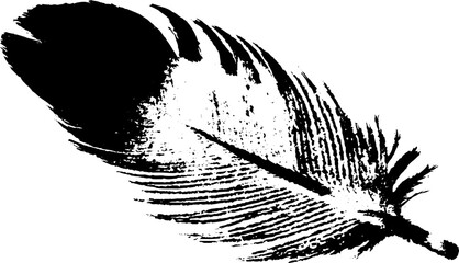 Obraz premium High contrast abstract chicken feather stencil for design and decoration