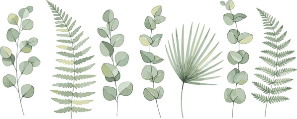 Elegant hand drawn botanical greenery vector set featuring eucalyptus branches fern fronds and fan palm leaves for wedding invitations and nature inspired branding. © IconicCreations