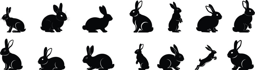Obraz premium Sequence of rabbits in various poses