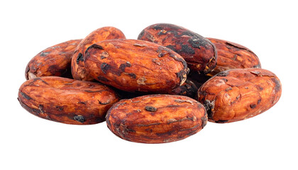 Close-up studio shot of a pile of roasted, textured, and brown cocoa beans with varying sizes. Isolated on a black background