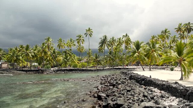 Hawaiian nature with palm trees inside exotic Puuhonua O Honaunau National Historical Park in Big Island, Hawaii. High quality 4k footage