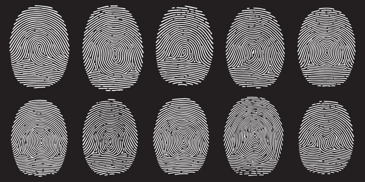 Collection of eight unique fingerprint patterns on a black background