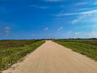 Fototapeta premium Dirt Road Under Blue Sky