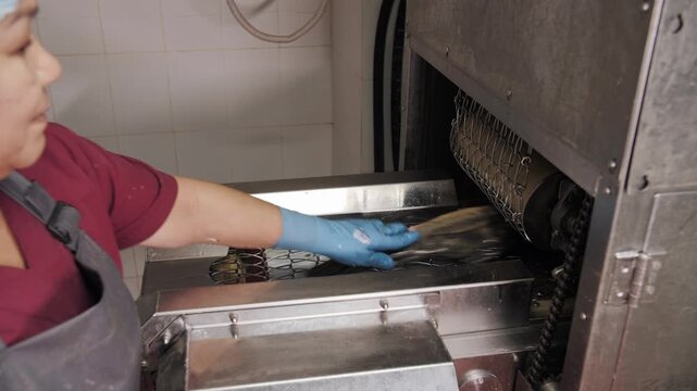 Worker in blue gloves puts fresh fish carp on the industrial conveyor for scaling.