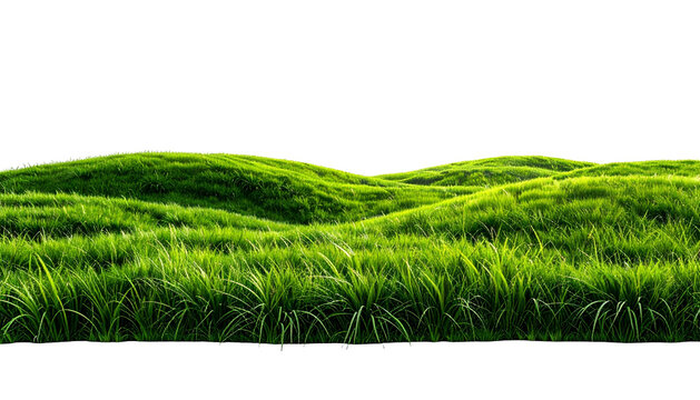 Lush, verdant green grass hills against a stark, black void. Vibrant sunlight bathes the blades, creating a serene, isolated landscape
