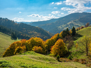 Typische Offene Landschaft Schwarzwald Ausblick