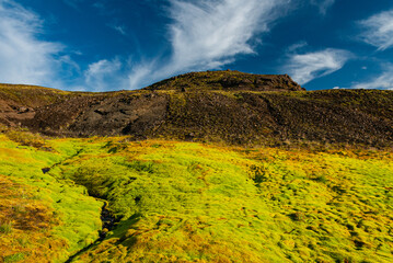 Obraz premium Moss-covered landscape in the Icelandic Highlands, green vegetation and calm water reflecting a volcanic mountain under a bright blue sky.