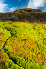 Obraz premium Moss-covered landscape in the Icelandic Highlands, green vegetation and calm water reflecting a volcanic mountain under a bright blue sky.