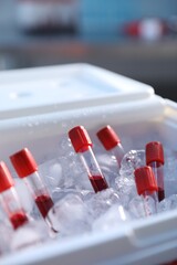 Portable medical refrigerator with blood samples indoors, closeup