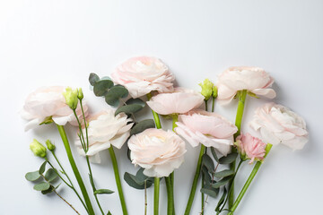 Beautiful ranunculus flowers and eucalyptus on white background, flat lay