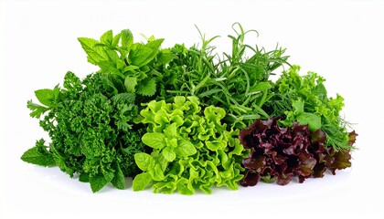 Obraz premium Fresh Leafy Green Salad Herbs.