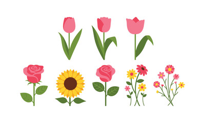 Naklejka premium Vibrant flowers including tulips, roses, sunflowers on white