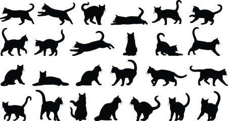 Black cat silhouette collection with various feline poses, jumping running and sitting kitty silhouettes for pet animal vector illustration set. © Siyamul