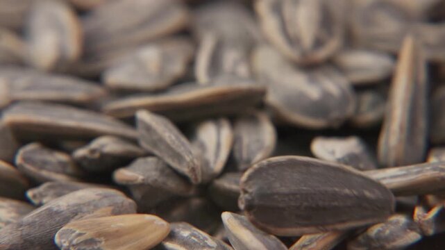 Macro close-up close slo mo slow motion of grey, white, and black sunflower seed seeds snack falling slowly in slow-motion onto table surface in studio as tasty healthy snacks for food consumption