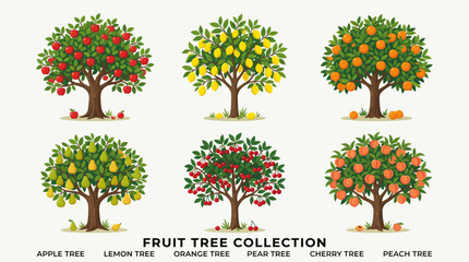 Fruit Tree Collection Vector Illustration Set with Apple, Lemon, Orange, Pear and Cherry Trees