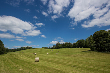 champ avec bottes de foin en &eacute;t&eacute; dans le jura, champ, prairie