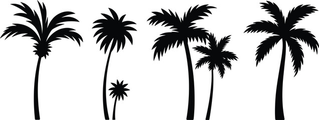Fototapeta premium Black palm tree silhouettes set with tropical coconut plants isolated on white background for summer beach vacation design