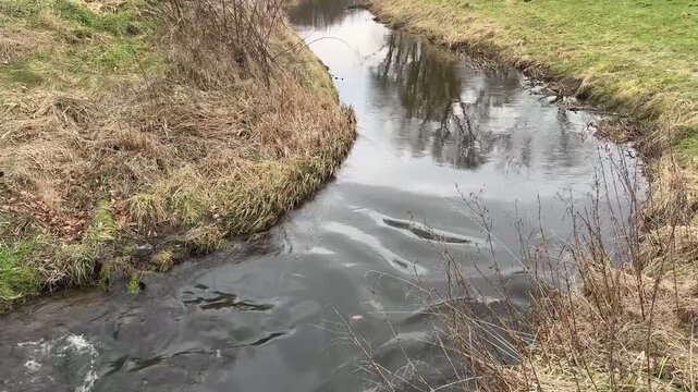 Fluss Alte Eider bei Sehestedt in Schleswig-Holstein