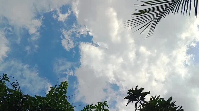 &lrm;A blue sky scene with bright white clouds. A coconut tree leaf dangles in the corner of the frame, and other tropical foliage also in other corner. Perfect for travel, nature, or relaxation theme.