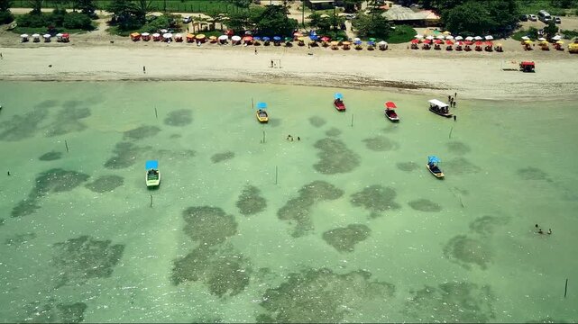 Natural pools at Sao Miguel dos Milagres beach in Alagoas.