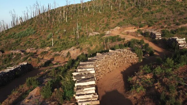 Flyover over logs and rural road into burnt forest at golden hour in Tenerife